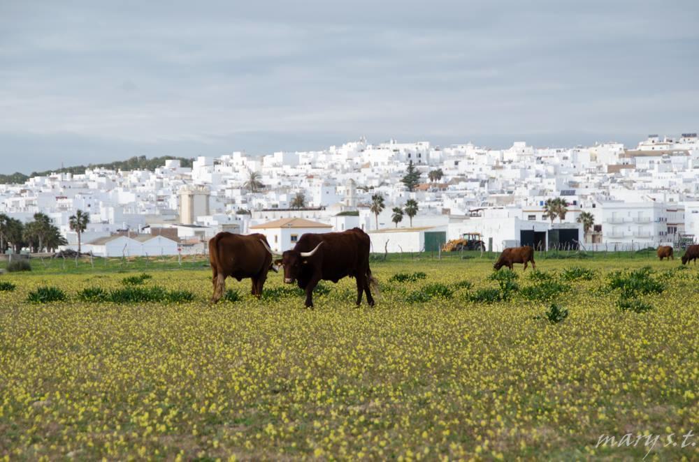 Ferreira Hostal Boutique Conil De La Frontera Bagian luar foto