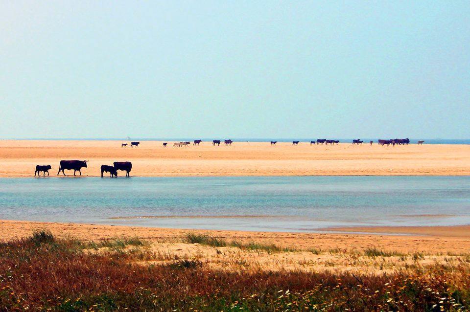 Ferreira Hostal Boutique Conil De La Frontera Bagian luar foto